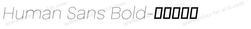 Human Sans Bold字体转换